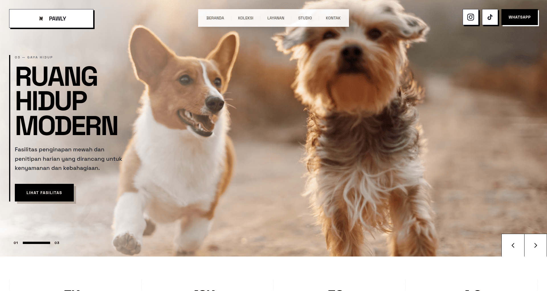 Pawly - Petshop and Grooming